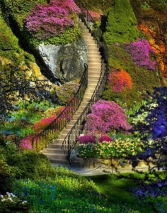 stairs-flowers-sunshine